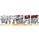 奇行種月原 (chan.rina)