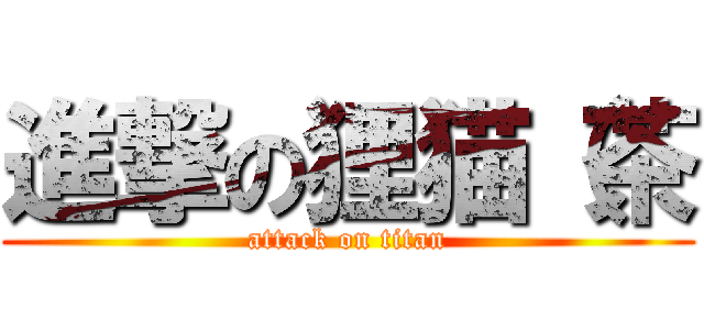 進撃の狸猫（茶 (attack on titan)
