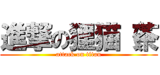進撃の狸猫（茶 (attack on titan)