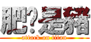 肥貓是豬 (attack on titan)