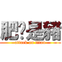 肥貓是豬 (attack on titan)