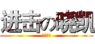进击の晓凯 (挡我者死)