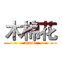 木棉花 (muse)
