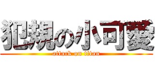 犯規の小可愛 (attack on titan)