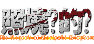 照燒你的貓 (The Legend of Teriyaki Kingdom)