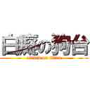 白癡の狗台 (attack on titan)