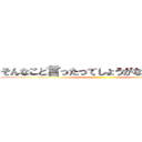 そんなこと言ったってしょうがないじゃないか ()