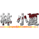 林 小夏 (hayashi konatu)