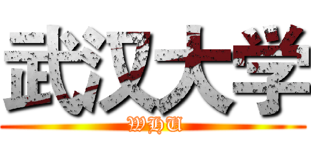 武汉大学 ( WHU)