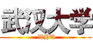 武汉大学 ( WHU)