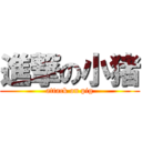 進撃の小猪 (attack on pig)