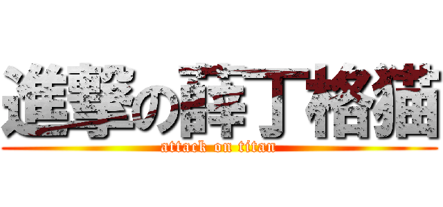 進撃の薛丁格猫 (attack on titan)