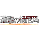 進擊の杨尼玛 (attack on chrysanthemum)