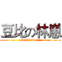 豆比の林崽 (doubi on zz)