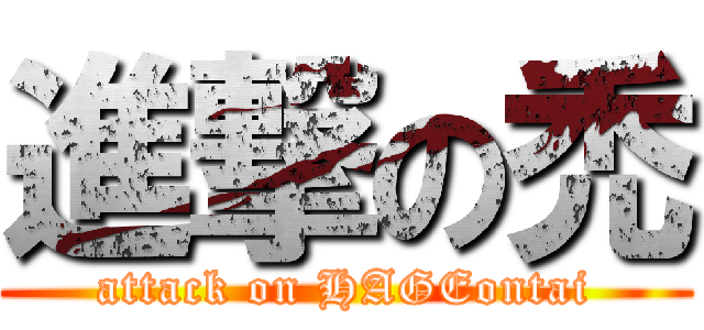 進撃の禿 (attack on HAGEontai)