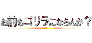 お前もゴリラにならんか？ (頼むべ)