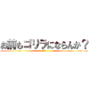 お前もゴリラにならんか？ (頼むべ)