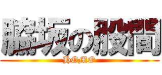 脇坂の股間 (HOMO)