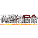 荷蘭的宿命 (attack on titan)