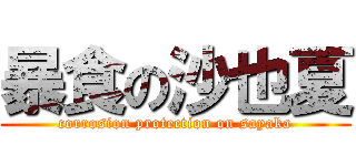 暴食の沙也夏 (corrosion protection on sayaka)