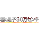 堀の息子３０万センチ (attack on titan)