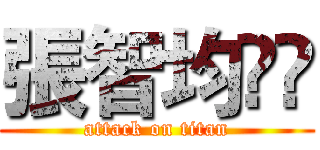張智均🐓🐓 (attack on titan)