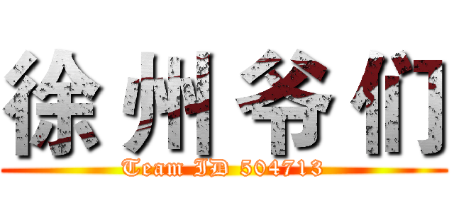 徐 州 爷 们 (Team ID 504713)