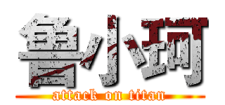 鲁小珂 (attack on titan)