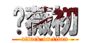 陈薇初 (attack on titan)