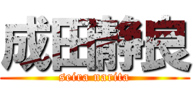 成田静良 (seira narita)