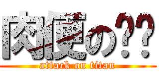 肉便の诗诗 (attack on titan)