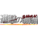 進擊の貓貓 (attack on tsz ysn:D)