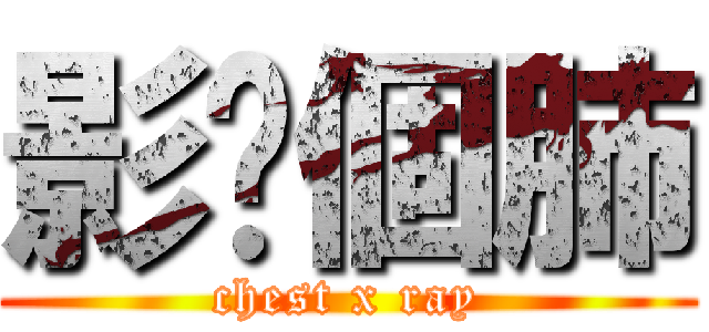 影你個肺 (chest x ray)