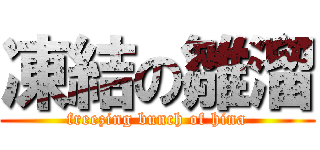 凍結の雛溜 (freezing bunch of hina)