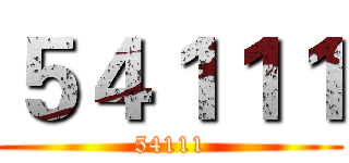 ５４１１１ (54111)