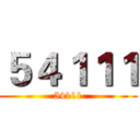 ５４１１１ (54111)