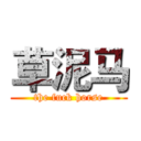 草泥马 (the fuck horse)