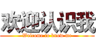 欢迎认识我 (Welcome to know me)