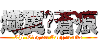 熾翼✰蒼痕 (Chi Wing on Cang marks)