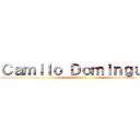 Ｃａｍｉｌｏ Ｄｏｍｉｎｇｕｅｚ ()