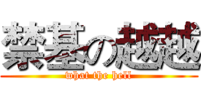 禁基の越越 (what the hell)