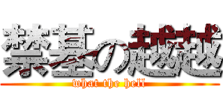 禁基の越越 (what the hell)