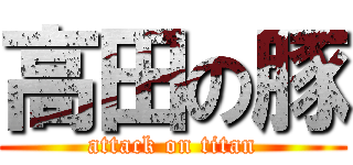 高田の豚 (attack on titan)