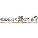 せのんって知ってる？ (attack on titan)