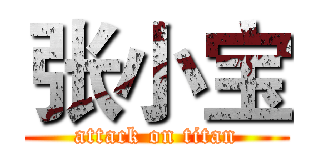 张小宝 (attack on titan)
