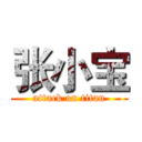 张小宝 (attack on titan)