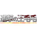 進撃の王毛毛 (attack on ACE)