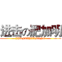 进击の肥加明 (JJDFEIJIAMING)