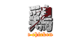 鶏 (a chicken)