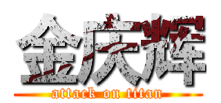 金庆辉 (attack on titan)